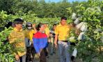 MTTQ xã Nghĩa Mai tổ chức học tập kinh nghiệm mô hình phát triển kinh tế tại địa phương